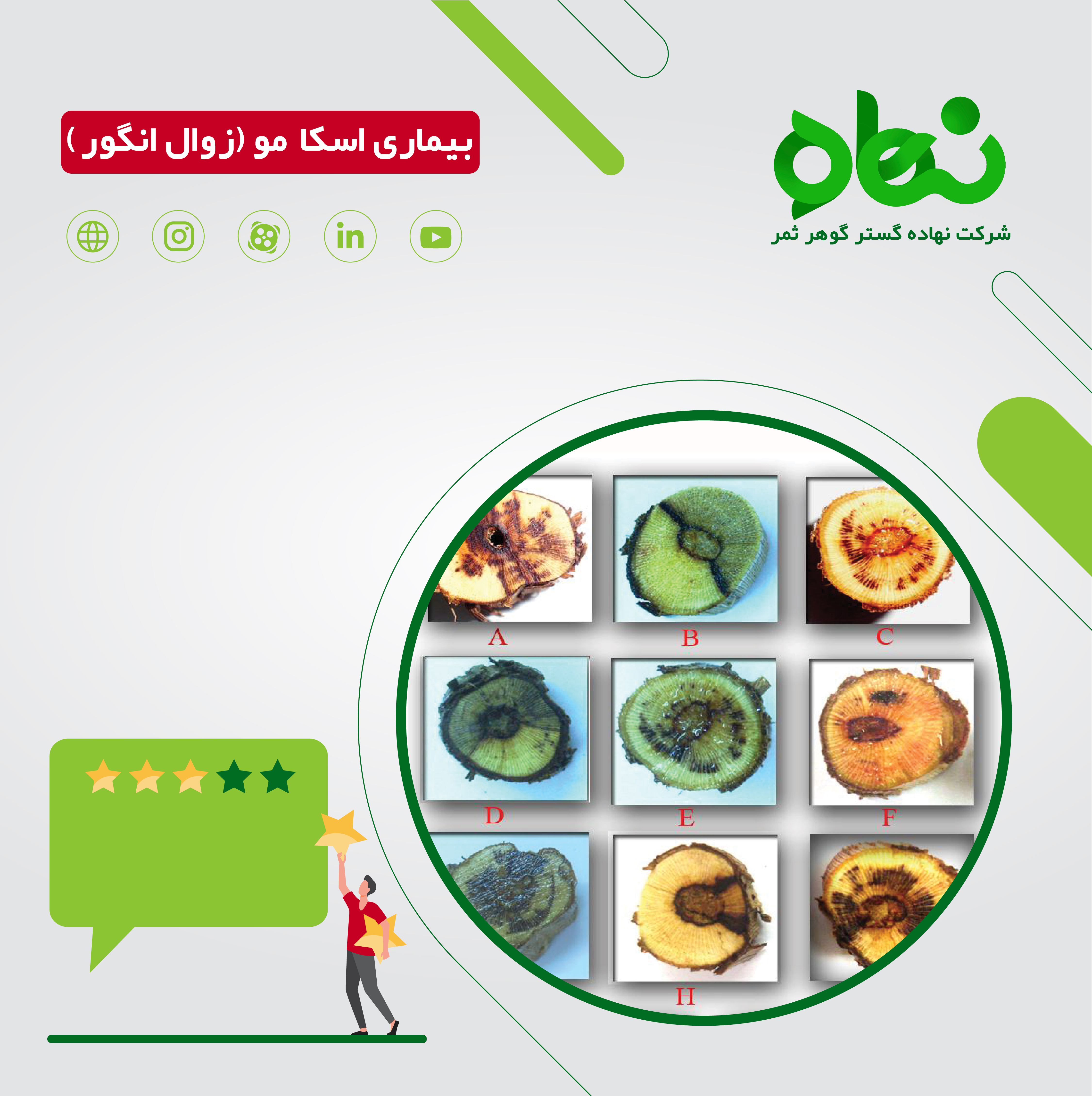 بیماری اسکا مو